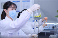 巾幗不讓須眉，她們獲省級(jí)巾幗文明崗榮譽(yù)